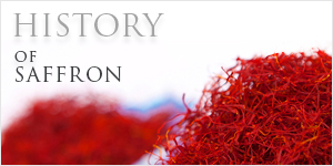History of Saffron - Norvist